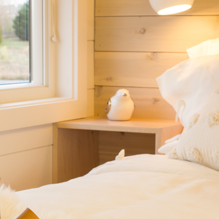 Shiplap siding in bedroom behind bed.